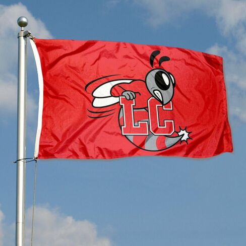 Lynchburg Hornets Flag in Saudi Arabia