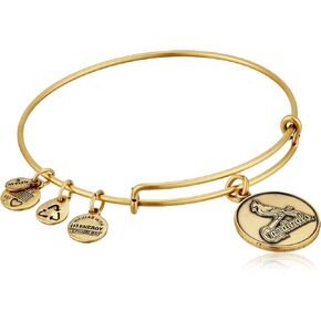 Alex and Ani St. Louis Cardinals Primary Logo Expandable Bangle Bracelet