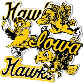 Desert Cactus University of Iowa Stickers Hawkeyes Vinyl Decals Laptop Water Bottle Car Scrapbook T2 (Type 2 Vintage)