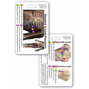 12 Lead EKG Placement Vertical Badge Reference Card (1 Card)