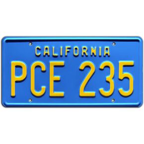 Stranger Things | PCE 235 | Metal Stamped License Plate