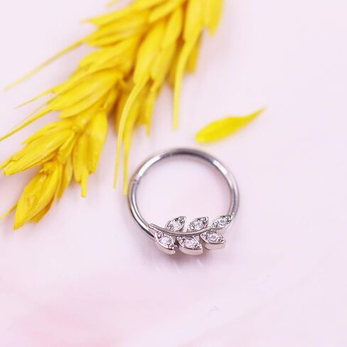 CHARMONLINE 16G 316L Stainless Steel Earring Hoop Cluster CZ Hinged Segment Clicker Daith 8/10mm Inside Diameter Clicker Helix Ear Piercings for Women Men in Kuwait