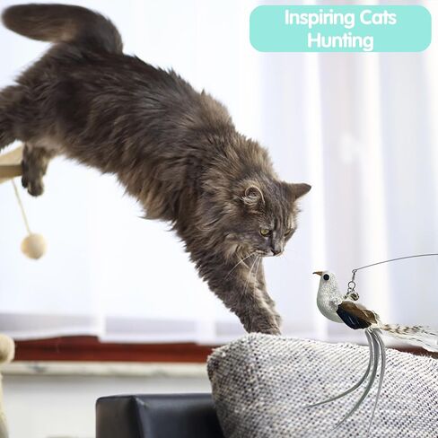 Flying Bird Cat Toy Set Realistic Bird Impression, 2 in 1 Suction Cup Cat Toy Offers Double Excitement, 4 Flying Bird Interactive Cat Toy with Colorful Natural Feathers and Bell and 2 Cat Wands in Saudi Arabia