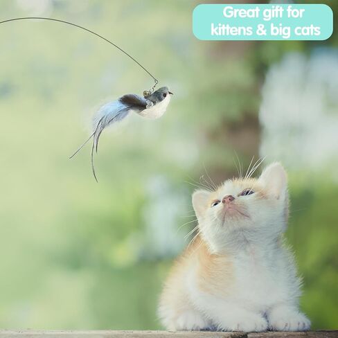 Flying Bird Cat Toy Set Realistic Bird Impression, 2 in 1 Suction Cup Cat Toy Offers Double Excitement, 4 Flying Bird Interactive Cat Toy with Colorful Natural Feathers and Bell and 2 Cat Wands in Saudi Arabia