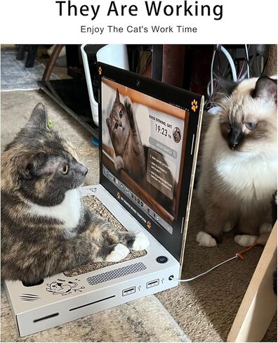 جهاز كمبيوتر محمول صغير مضحك من Carboard Cat وجهاز تلفزيون للداخل، لعبة تفاعلية احترافية للوحة المفاتيح Tini اللطيفة، هدايا فريدة من نوعها للقطط in Saudi Arabia