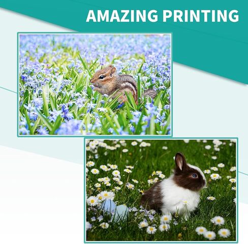 خرطوشة حبر SAIDING 106R03741 106R03744 106R03743 106R03742 C7030 متوافقة مع Xerox Versalink C7020 C7025 C7030 عالية الإنتاجية (أسود سماوي أرجواني أصفر-4 عبوات) in Kuwait