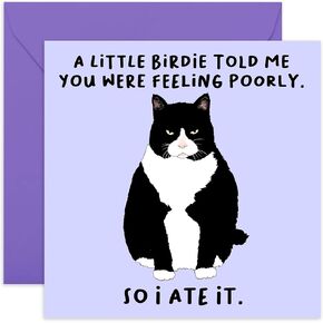 CENTRAL 23 - Funny Get Well Soon Card For Her Him - 'A Little Birdie Feeling Poorly' - Cheer Up Gifts For Women Men - Cat Greeting Cards Sympathy Memorial Thinking Of You - Comes With Fun Stickers