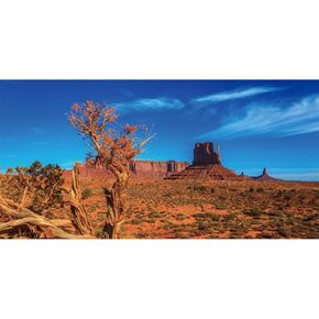 AWERT 36x18 inches Blue Sky Oasis Cactus Sun and Desert Terrarium Background Orange Reptile Habitat Background