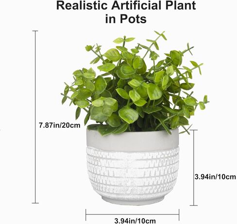 نباتات صناعية صغيرة نباتات وهمية الأوكالبتوس في وعاء لطاولة المكتب ورف المنزل والحمام والمكتب in Kuwait