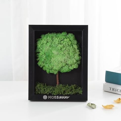100% Natural Moss Art Wall Decor (Bear) - Natural Deodorizer & Air Purifier - No Maintenance - Moss for Crafts, Terrarium Supplies - Greenery for Home, Bedroom & Living Room Décor in Saudi Arabia