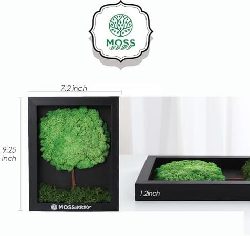 100% Natural Moss Art Wall Decor (Bear) - Natural Deodorizer & Air Purifier - No Maintenance - Moss for Crafts, Terrarium Supplies - Greenery for Home, Bedroom & Living Room Décor in Saudi Arabia