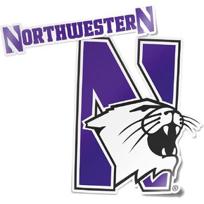 Desert Cactus Northwestern University Stickers Wildcats Vinyl Decal Laptop Water Bottle Car Scrapbook (4 Inch Set V1)