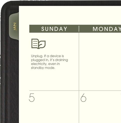 AT-A-GLANCE 2025 Planner, Monthly, 7" x 8-3/4", Medium, Recycled, Black (70120G0525) in Saudi Arabia