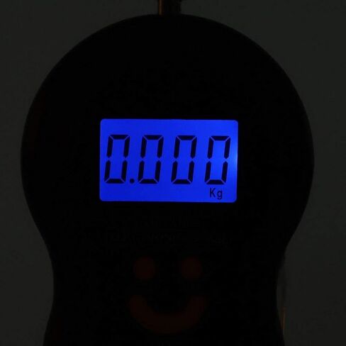 Portable LCD Display Digital Fishing Hanging Scale Electric Fishing Weighing Scale for Fishing Postal Parcel Kitchen Home (Black) Fishing Tools and Accessories in Saudi Arabia