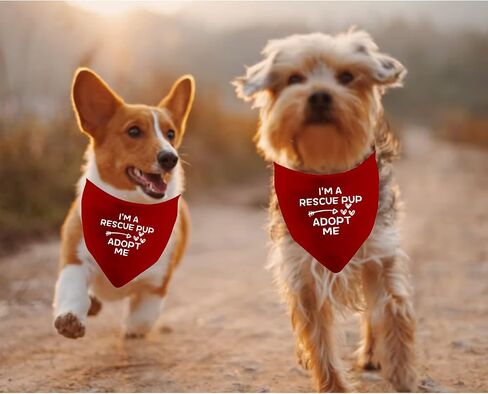 JXGZSO 1 Piece I'm A Foster/Shelter/Rescue Pup Adopt Me Dog Bandana Adopted Dog Bandana Adopt Me Rescue Dog Bandana (Foster pup) in Saudi Arabia