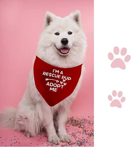 JXGZSO 1 Piece I'm A Foster/Shelter/Rescue Pup Adopt Me Dog Bandana Adopted Dog Bandana Adopt Me Rescue Dog Bandana (Foster pup) in Saudi Arabia