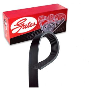 Gates Micro-V Serpentine Belt compatible with Honda Accord 2.4L L4 2003-2007