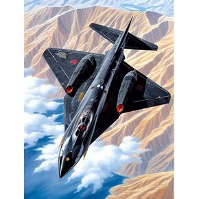 VAIIEYO Diamond Art Kits for Adults Airplane, Diamond Painting Plane Machine, Full Drill Round Rhinestone Craft Canvas for Home Wall Decor Gift 12x16 inch