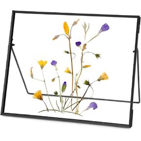Glass Pressed Flower Frame Handmade, Glass Floating Picture Frames Tabletop Brass Photo Frame for DIY Dried Flowers Home Plant Specimen, Rectangle Horizontal 4×6 inches,Gold (FRAME ONLY)