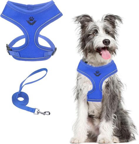 مجموعة حزام ومقود للكلاب الشبكية الناعمة من PUPTECK للكلاب الصغيرة والمتوسطة، سترة مبطنة عاكسة وقابلة للتعديل، حزام مانع للسحب والهروب، أزرق M in Kuwait