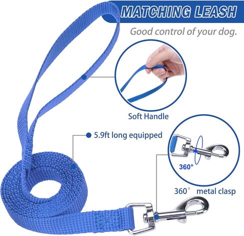 مجموعة حزام ومقود للكلاب الشبكية الناعمة من PUPTECK للكلاب الصغيرة والمتوسطة، سترة مبطنة عاكسة وقابلة للتعديل، حزام مانع للسحب والهروب، أزرق M in Kuwait