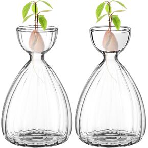 2Pcs Avocado Seed Sprout Starter Vase Planter Pot Avocado Tree Growing Vase Kit Avocado Tree Growing Vase Clear Striped Glass Propagation Jars Container for Hydroponics Plants for Gardening Lover