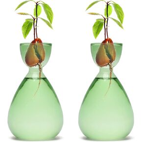Avocado Vase Avocado Seed Starter Vase Glass Propagation Vase Avocado Trees Live Plants Gife for Women Mom (2pc Avocado Vases)