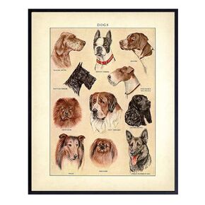 Vintage Wall Art for Dog Lovers - 8x10 Retro Room Decor, Home Decoration for Bedroom, Living Room - Unique Gift for Puppy or Pet Owners, Animal Lovers - Unframed Poster Print Picture Sign
