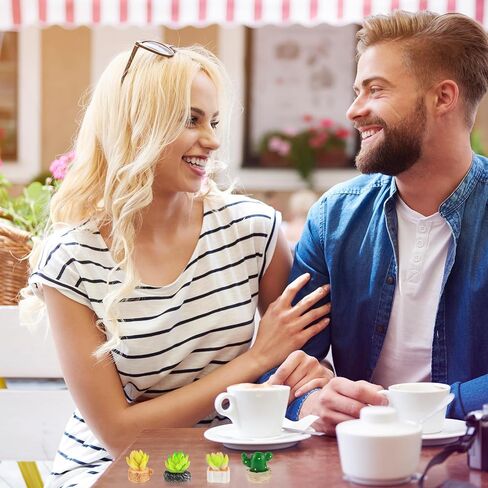 4 عبوات من النباتات المزيفة لغرفة النوم والنباتات العصارية الاصطناعية الجمالية لمزرعة الحمام (4 قطع لتزيين وعاء الصبار) in Saudi Arabia