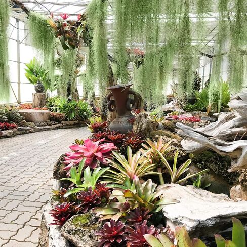 XunYee 24 Pack Faux Greenery Moss for Potted Plants Spanish Realistic Moss Hanging Plants Artificial Decor Vines Fake Moss for Crafts Planters Outdoor Indoor Wall Office Decoration in Saudi Arabia