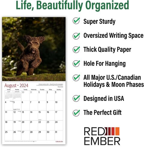 RED EMBER Goldendoodles 2024 Hangable Monthly Wall Calendar | 12" x 24" Open | Thick & Sturdy Paper | Giftable | Cute Dog | Good as Golden in Saudi Arabia