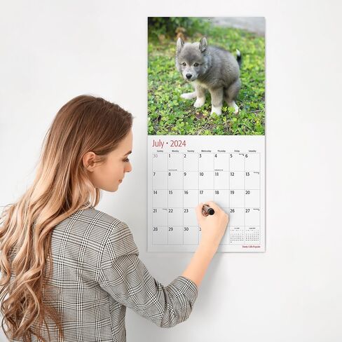 RED EMBER Funny Gag Gift Dooty Calls Puppies 2024 Hangable Monthly Wall Calendar Pooping Crapping | 12" x 24" Open | Thick & Sturdy Paper | Giftable | Joke, White Elephant, Yankee Swap, Secret Dirty in Saudi Arabia