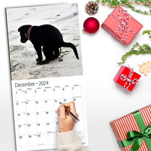 RED EMBER Funny Gag Gift Dooty Calls Puppies 2024 Hangable Monthly Wall Calendar Pooping Crapping | 12" x 24" Open | Thick & Sturdy Paper | Giftable | Joke, White Elephant, Yankee Swap, Secret Dirty in Saudi Arabia