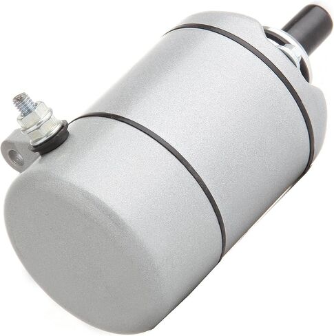ECCPP Starters fit for HONDA for ATV Trx250 Recon 1997-2001 229cc250ex Sportrax 2001-2008 229cc 250te Fourtrax Recon ES/Recon 2002-2007 229cc 250x 2009-2016 229cc 18336N in Saudi Arabia