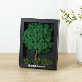 100% Natural Moss Art Wall Decor (Bear) - Natural Deodorizer & Air Purifier - No Maintenance - Moss for Crafts, Terrarium Supplies - Greenery for Home, Bedroom & Living Room Décor