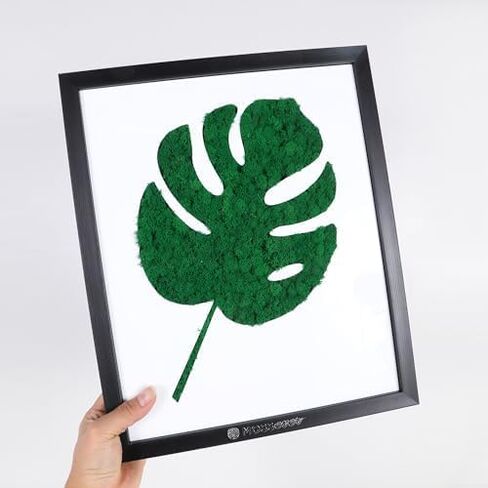 100% Natural Moss Art Wall Decor (Bear) - Natural Deodorizer & Air Purifier - No Maintenance - Moss for Crafts, Terrarium Supplies - Greenery for Home, Bedroom & Living Room Décor in Saudi Arabia
