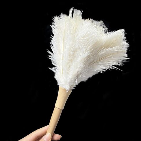 Premium Turkey Feather Duster - 14 Inches，Effective Dusting and Cleaning（Black） in Saudi Arabia