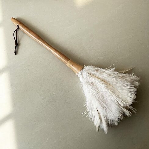 Premium Turkey Feather Duster - 14 Inches，Effective Dusting and Cleaning（Black） in Saudi Arabia
