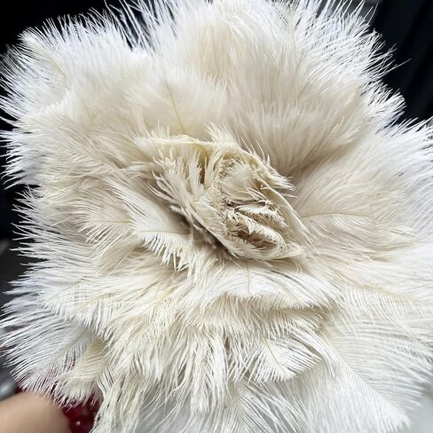 Premium Turkey Feather Duster - 14 Inches，Effective Dusting and Cleaning（Black） in Saudi Arabia