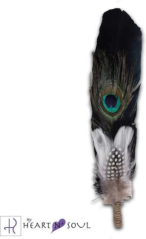 Complete Smudge Kit with Sage, Feather, Abalone Shell, Stand - Energy Cleansing Clearing Spiritual Practice House Smudging - Detailed Instructions for Beginners… (Black Turkey Feather) in Saudi Arabia