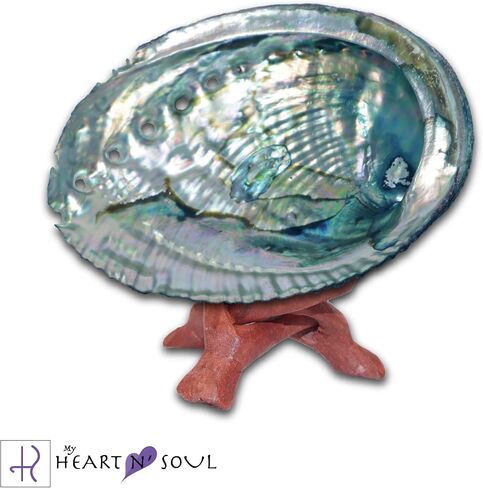 Complete Smudge Kit with Sage, Feather, Abalone Shell, Stand - Energy Cleansing Clearing Spiritual Practice House Smudging - Detailed Instructions for Beginners… (Black Turkey Feather) in Saudi Arabia