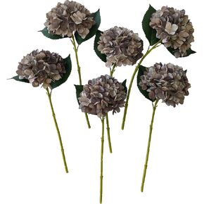 Hydrangea Artificial Flowers,6 Pcs Faux Hydrangea Flowers,Artificial Hydrangeas Flowers with Stems,Fake Hydrangeas,Silk Hydrangeas Flowers with Stems for Home Decor (6, champagne)