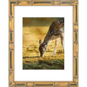 Space Art Deco, 8x10 Bamboo Style Picture Frame with White Mat for 5x7 Photo,Color Gold with Dark (Plexi Glass)