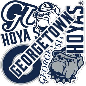 Desert Cactus Georgetown University Hoyas GU Stickers Vinyl Decals Laptop Water Bottle Car T2 (Type 2-2)