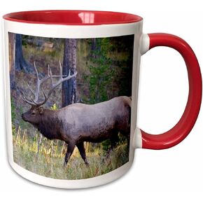 3dRose Bull Elk Grazing in Meadow, Canyon Area of Yellowstone National Park Mug, 11 oz, Red/Yellow