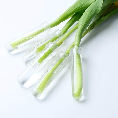 100 قطعة من أنابيب المياه على شكل زهرة الورد من RAYNAG، أنابيب عرض الزهور، تحافظ على قوارير الجذعية الطازجة مع القبعات، مستلزمات قطع مركزية لحفلات الزفاف، شفافة in Kuwait