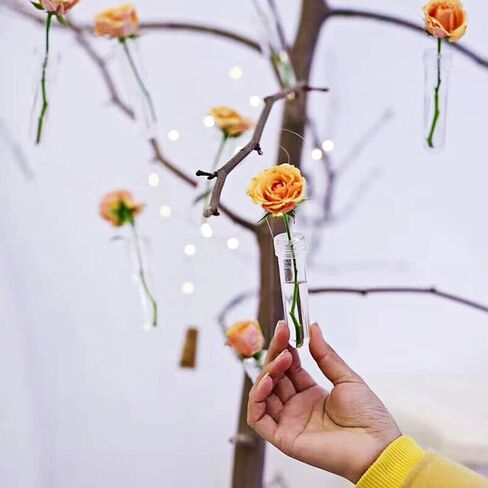 100 قطعة من أنابيب المياه على شكل زهرة الورد من RAYNAG، أنابيب عرض الزهور، تحافظ على قوارير الجذعية الطازجة مع القبعات، مستلزمات قطع مركزية لحفلات الزفاف، شفافة in Kuwait