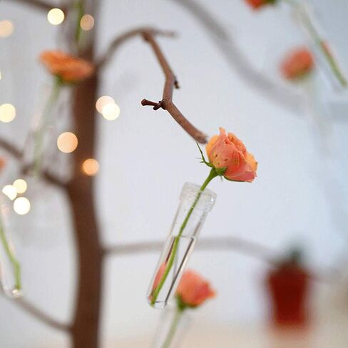 100 قطعة من أنابيب المياه على شكل زهرة الورد من RAYNAG، أنابيب عرض الزهور، تحافظ على قوارير الجذعية الطازجة مع القبعات، مستلزمات قطع مركزية لحفلات الزفاف، شفافة in Kuwait