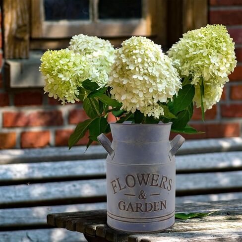 علبة حليب الياقوت بتصميم أنيق أنيق مجلفن بلمسة نهائية معدنية مزهرية ريفية بدائية حامل زهور مزخرف، 7.7 سم ارتفاع in Kuwait