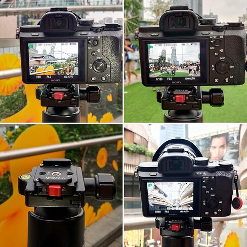 SY38 Camera Auto Lock Quick Release Kit,Used for Sony,Canon etc more brand, Used for Tripods, Stabilizers, Gimbals,Slider etc Quick switching.(1 Quick Release pedestal+1 Quick Release plate) in Saudi Arabia